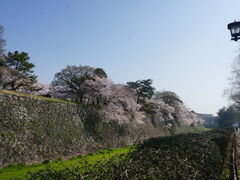 -名古屋城