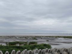 -南汇新城海滩