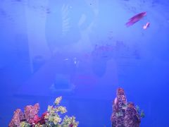 -花鸟鱼虫鲜花绿植市场(玉泉路店)