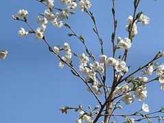 -山东省千佛山医院