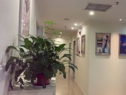 -SILKTONE诗丽堂美容