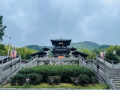 -大唐贡茶院