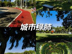-万绿园