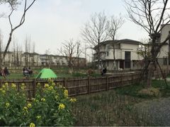 -田园东方蜜桃村的田野营地
