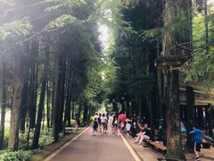 -武陵山森林公园