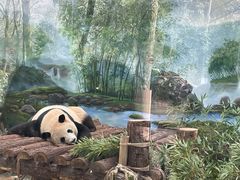 -杭州动物园