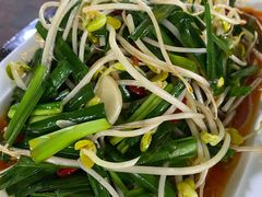 炒豆芽-马白开来特色羊排揪片子  (总店)