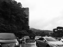 -新罗免税店(首尔总店)