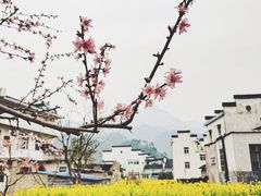 -绩溪龙川景区