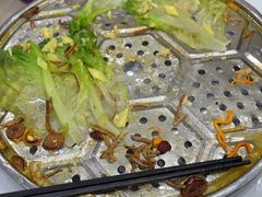 -凯盈阁·顺德私房菜·桑拿鸡