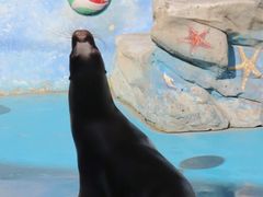 -上海野生动物园