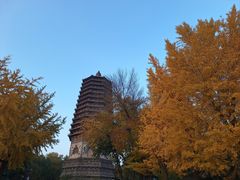 -玲珑塔公园