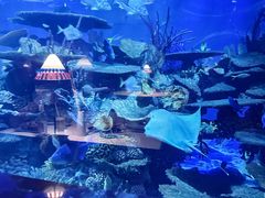 -迪拜帆船酒店海底餐厅