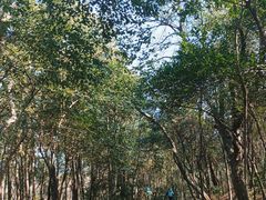 -紫金山山顶公园