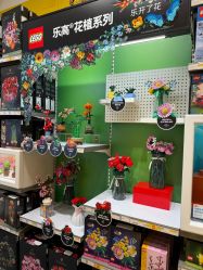 -乐高授权专卖店(朝阳大悦城店)