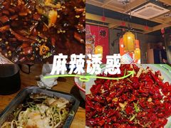 -兔槽江湖菜·重庆璧山兔(水围店)