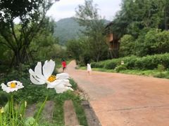 -杭州开元森泊度假乐园