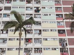 -彩虹村