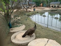 -河北村民俗体验园