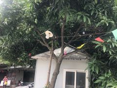 -伟记牛蹄(道滘店)