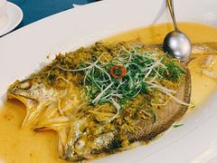 雪菜蒸野生大黄鱼-麟1929(外滩店)