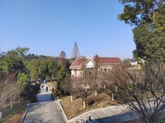 -报恩禅寺