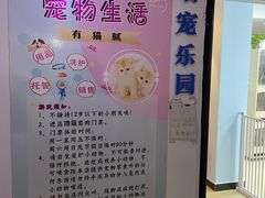 -喵宠乐园·撸猫互动·猫舍