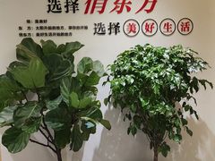 -俏东方·海味水饺·青岛菜(崂山店)