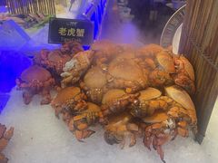 -九月海·海鲜自助(世纪东方店)