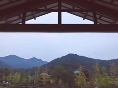 景点-黄陂区野村谷景区