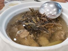 -绿丰园农家菜(南北大厦店)