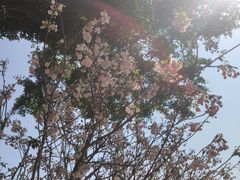 -观澜湖生态运动公社