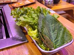 青菜合盘-郭记烤肉创始店(民丰大街店)