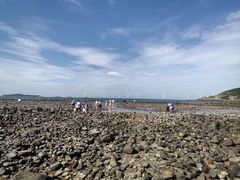 -长江澳风力发电景观区