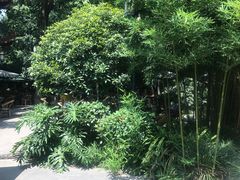-香园自助小火锅