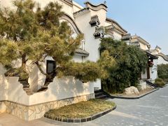 -新川办餐厅