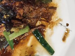 -正阳门饭庄·烤鸭·北京菜(万丰路七里庄店)