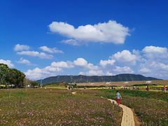 -光明小镇欢乐田园