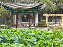 -莲湖公园