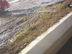 -长洲岛