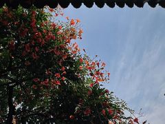 -胡氏古民居建筑