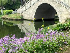 -泰州凤城河风景区-泰山公园