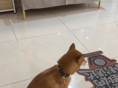 -美联众合24小时·皮肤科·外科·全科诊疗中心(华苑分院)