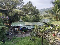 -海南槟榔谷黎苗文化旅游区