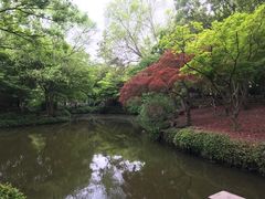 -秋霞圃