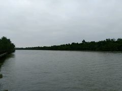 -东寨港红树林旅游区