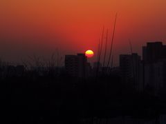 -浮山香苑