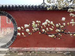 -泰山风景名胜区-普照寺