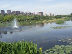 -前关湿地公园