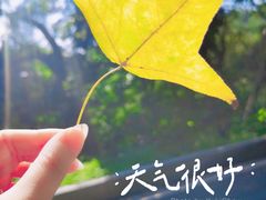 -广州市白云山风景名胜区